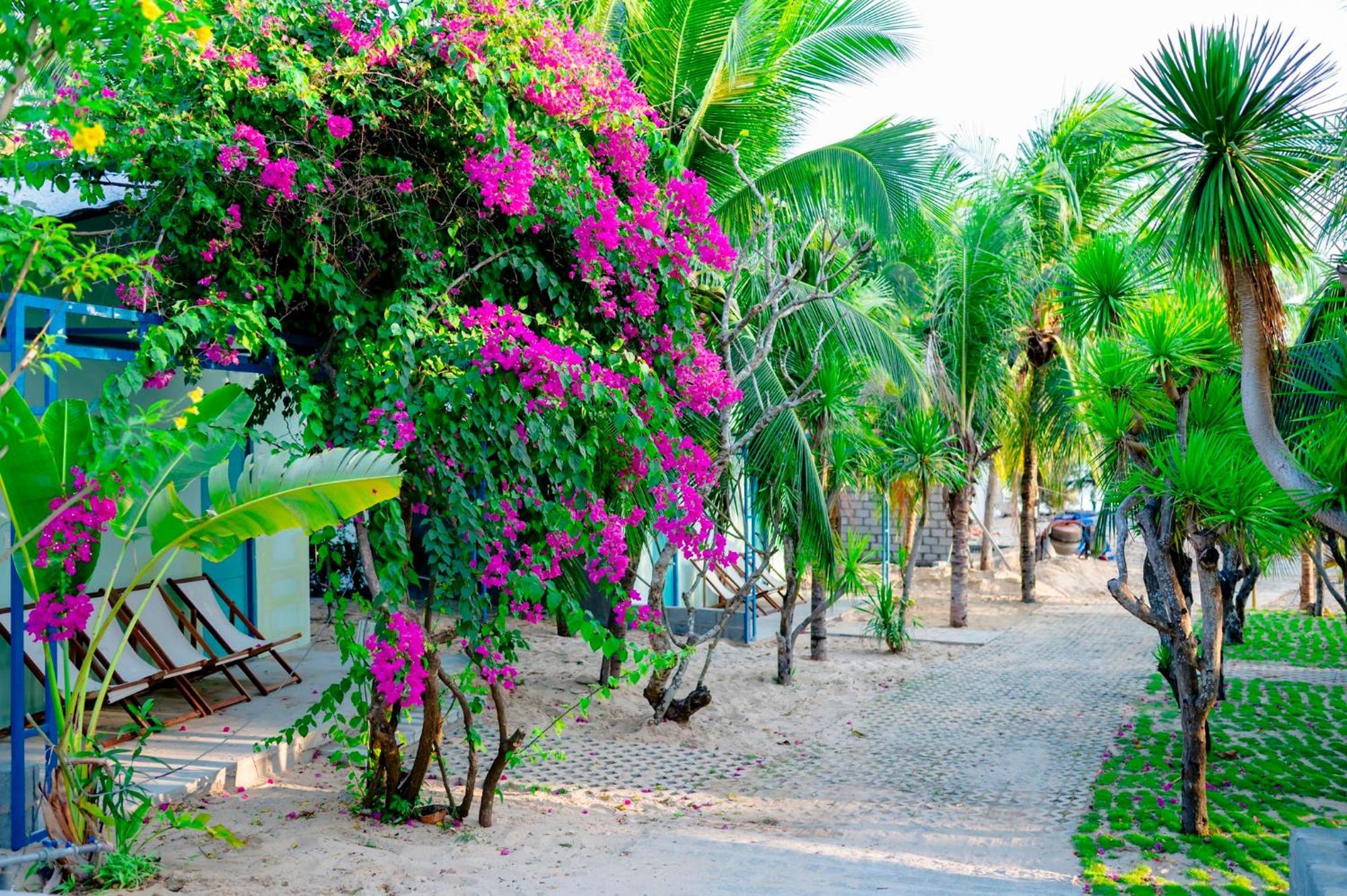 Coco Beachcamp La Gi Hotel Exterior photo